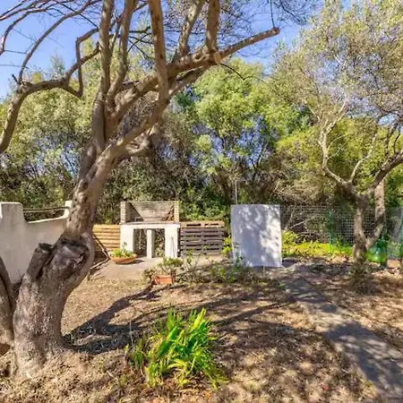 Terrace Sea View - Porto Columbu Feriehus